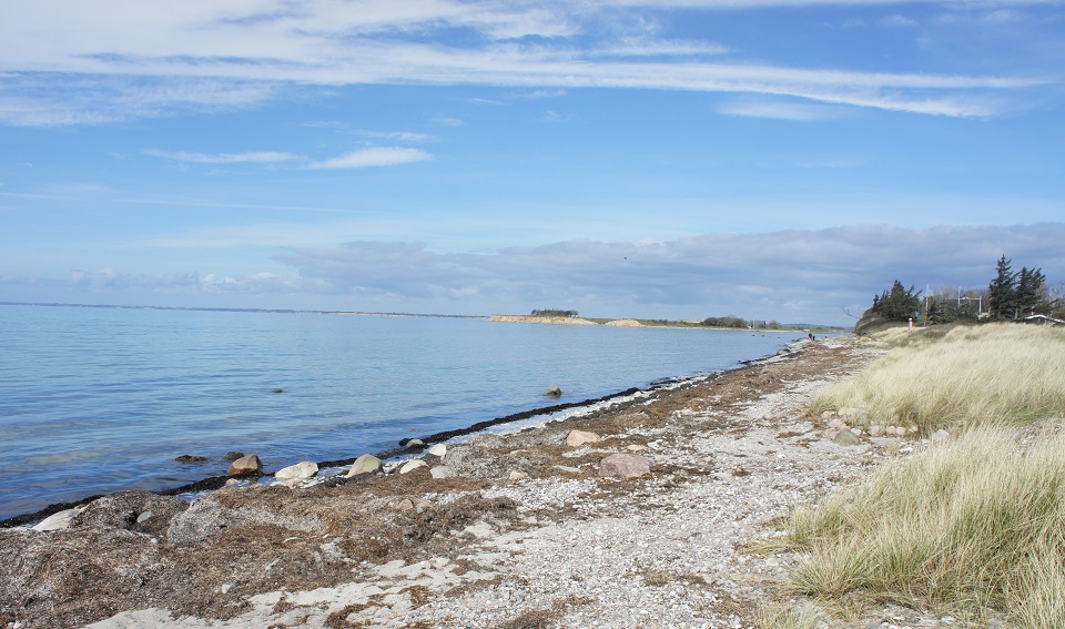 HISTORIE OM OMRÅDET - SVINØ STRAND HISTORIE OM OMRÅDET - SVINØ STRAND