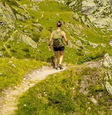SVINØ NATUREN OG VANDRERUTER I OMRÅDET